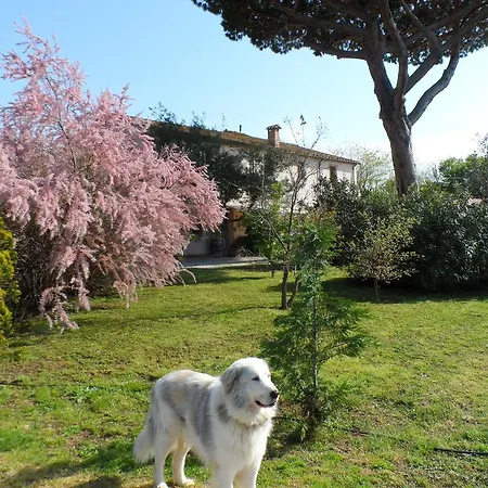 Agriturismo Ceralti *
