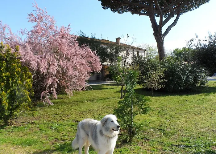 Agriturismo Ceralti *